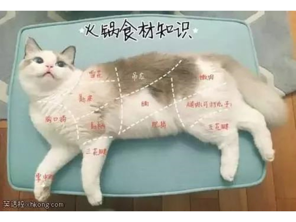 传奇单职业哪个服最强人多？(传奇sf密保怎么改？)插图